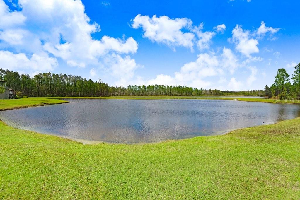 16247 NOVEMBER RAIN CT, LAND O LAKES, FL, 34638