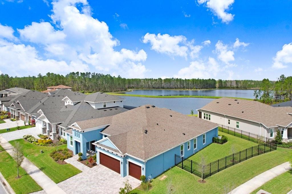 16247 NOVEMBER RAIN CT, LAND O LAKES, FL, 34638