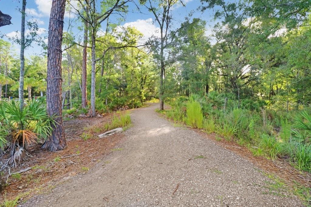 16247 NOVEMBER RAIN CT, LAND O LAKES, FL, 34638