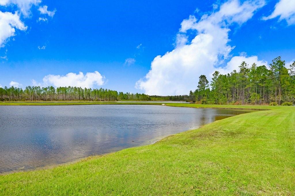 16247 NOVEMBER RAIN CT, LAND O LAKES, FL, 34638