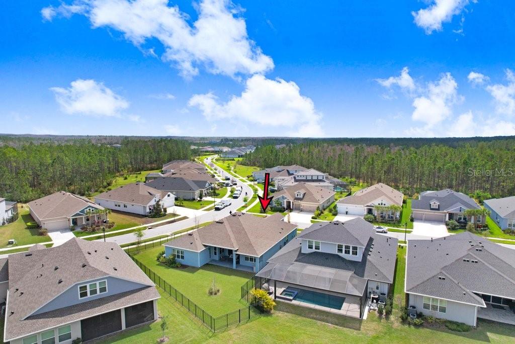 16247 NOVEMBER RAIN CT, LAND O LAKES, FL, 34638