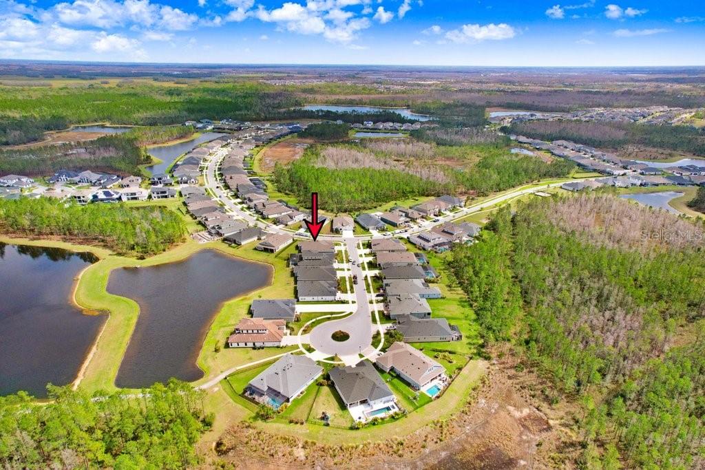 16247 NOVEMBER RAIN CT, LAND O LAKES, FL, 34638