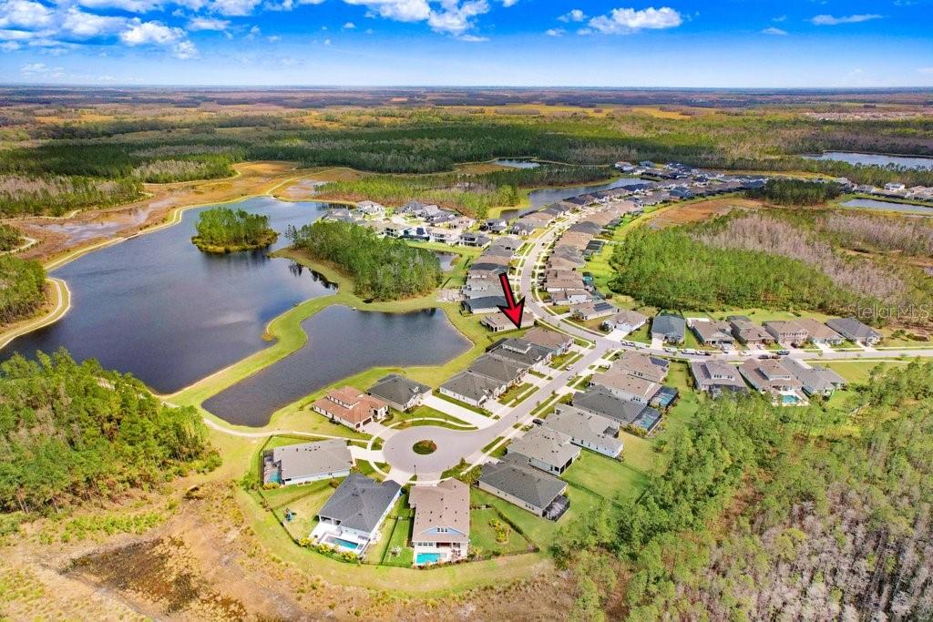 16247 NOVEMBER RAIN CT, LAND O LAKES, FL, 34638