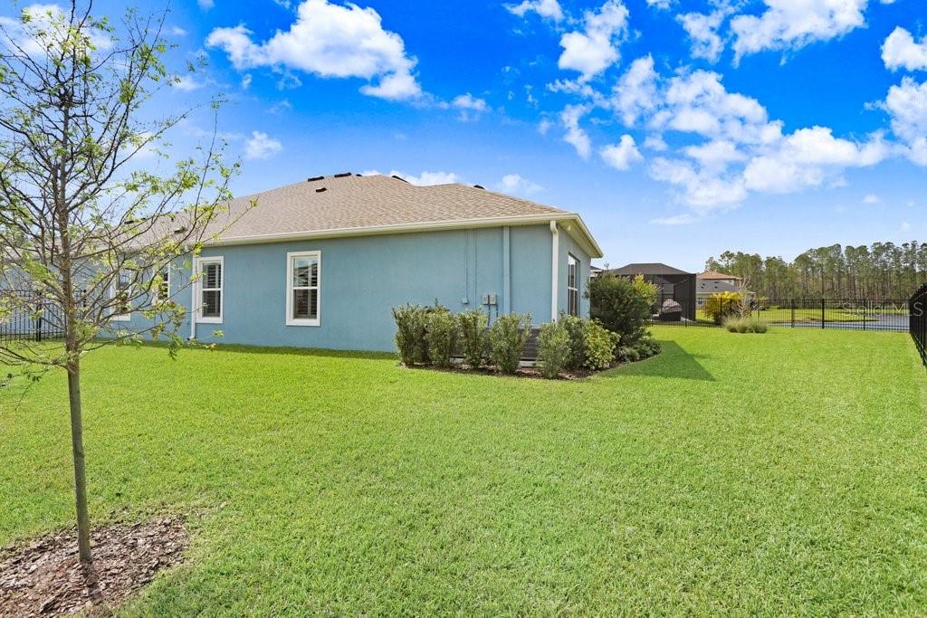 16247 NOVEMBER RAIN CT, LAND O LAKES, FL, 34638