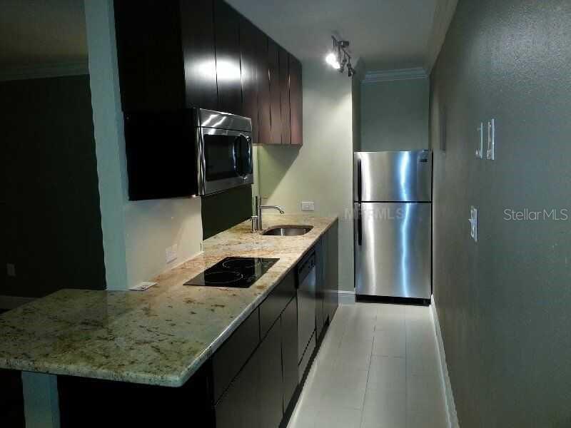 1301 S HOWARD AVE #B17, TAMPA, FL, 33606