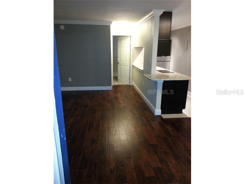 1301 S HOWARD AVE #B17, TAMPA, FL, 33606