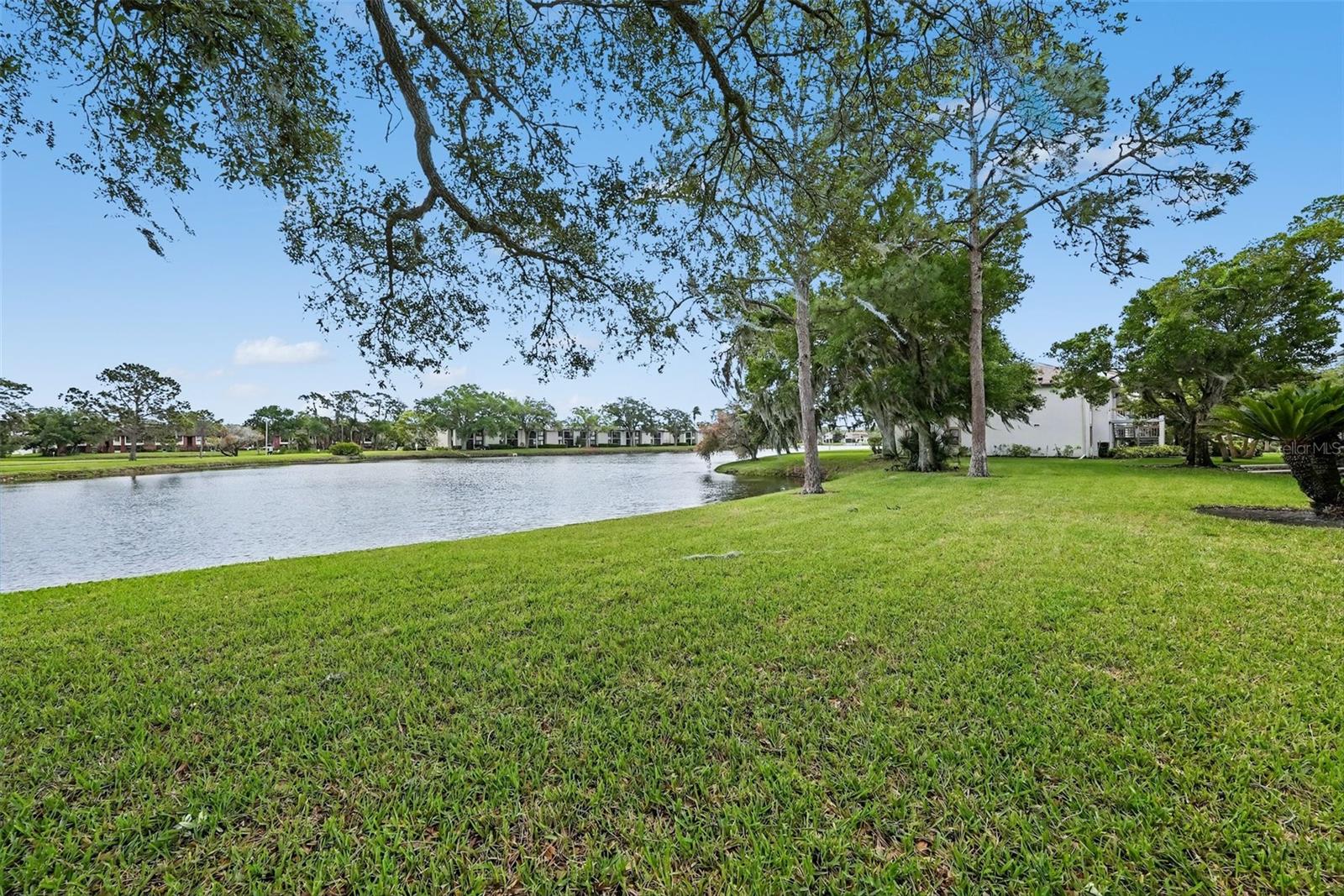 172 LAKEVIEW WAY #172, OLDSMAR, FL, 34677