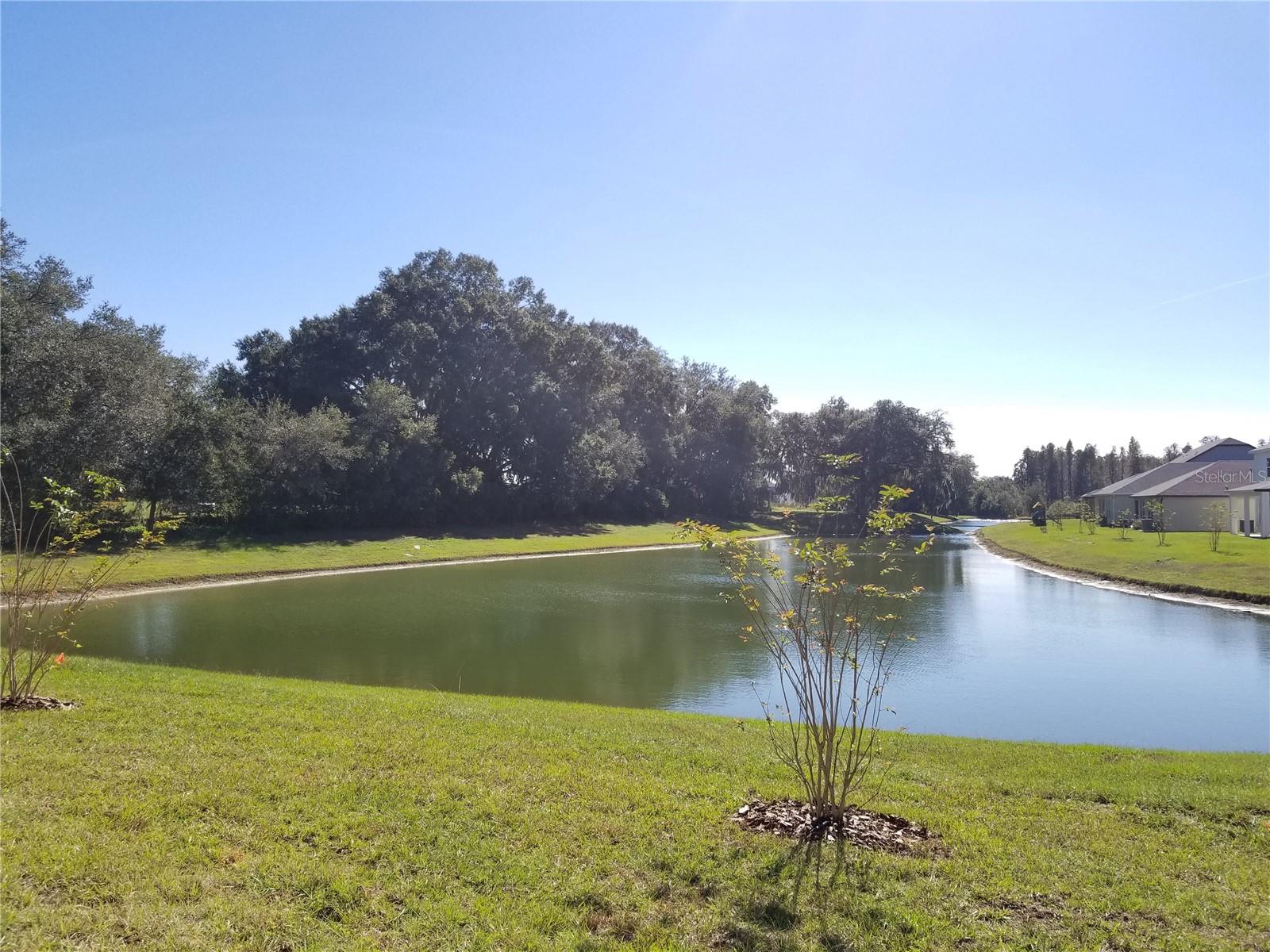 30708 WALKER CUP PL, WESLEY CHAPEL, FL, 33543