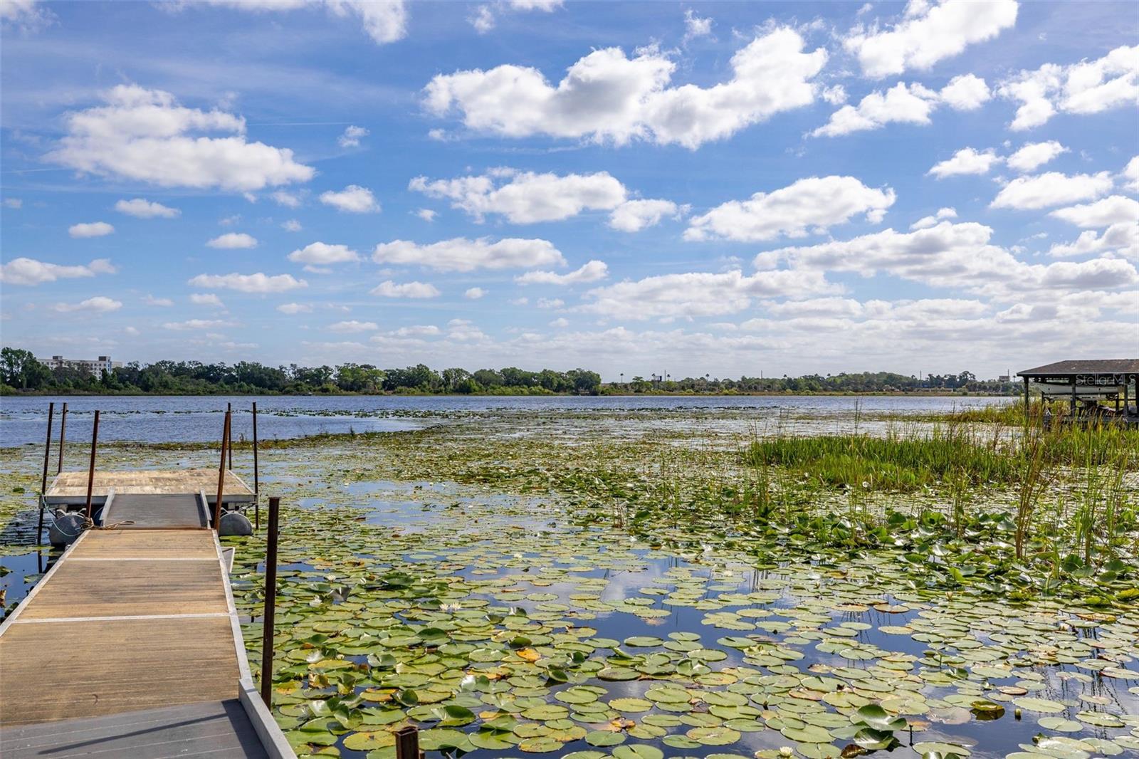 4981 LAKE CECILE DR, KISSIMMEE, FL, 34746