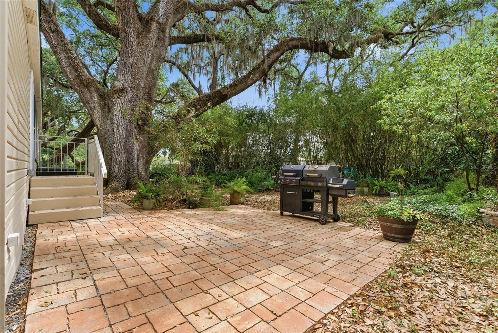 9101 WOOD TERRACE DR, TAMPA, FL, 33637