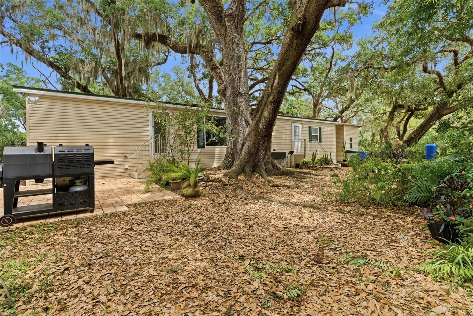 9101 WOOD TERRACE DR, TAMPA, FL, 33637