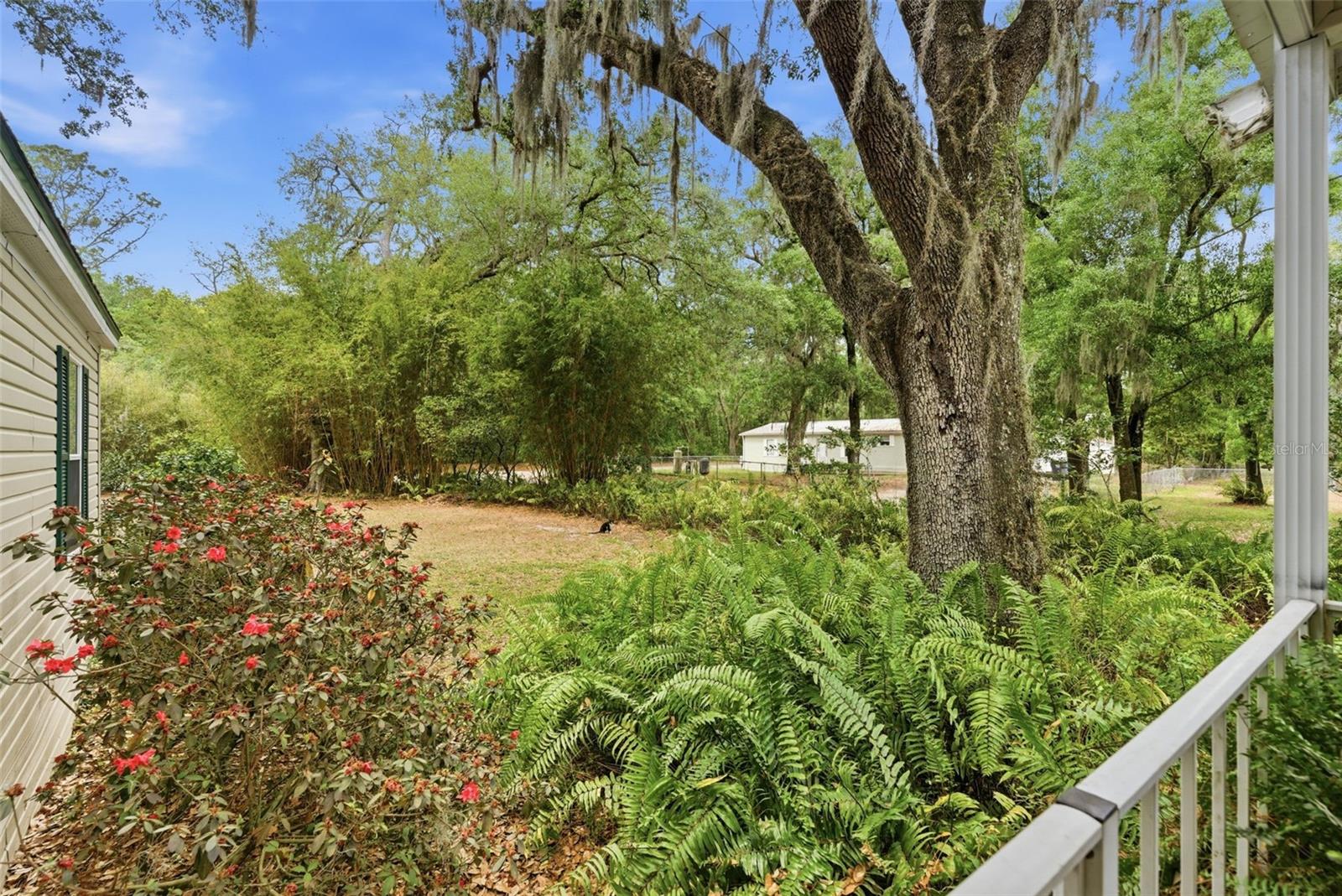 9101 WOOD TERRACE DR, TAMPA, FL, 33637