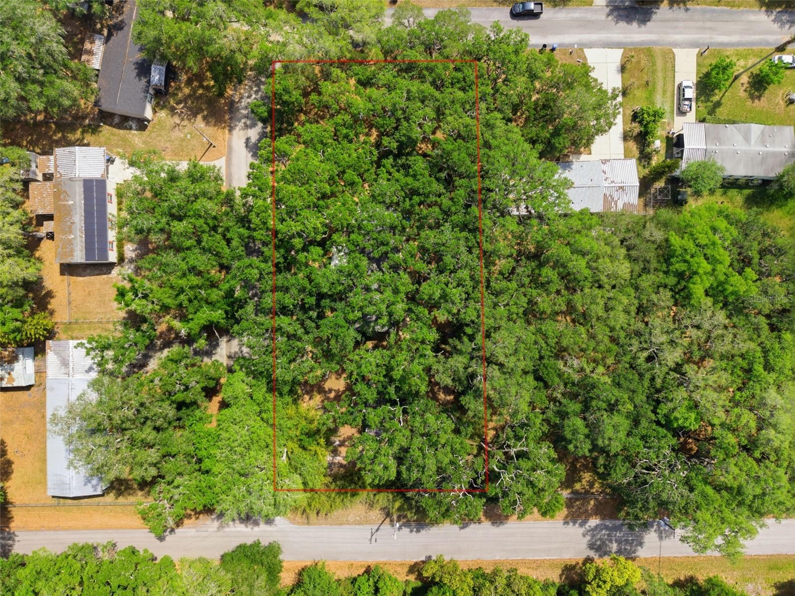 9101 WOOD TERRACE DR, TAMPA, FL, 33637