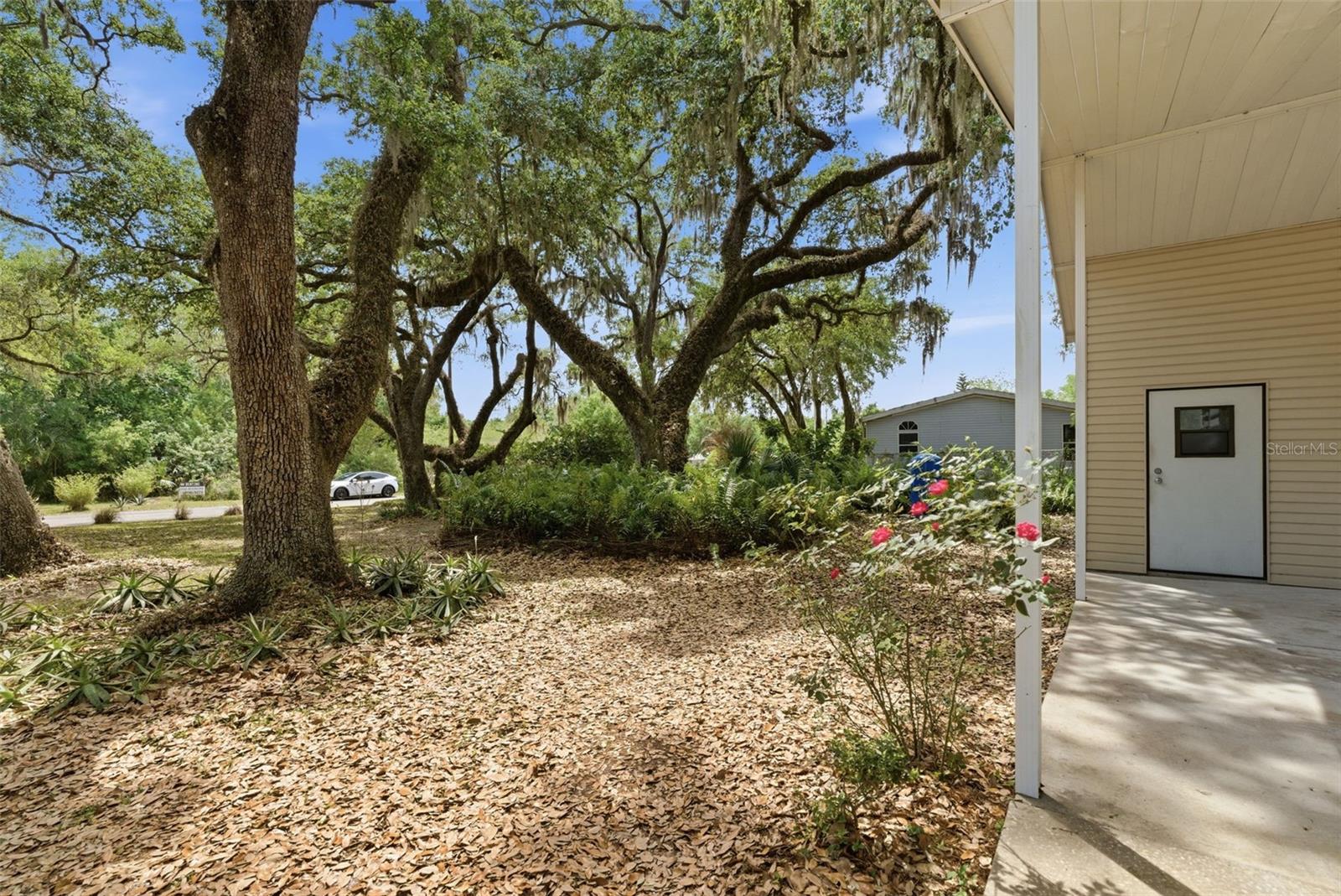 9101 WOOD TERRACE DR, TAMPA, FL, 33637