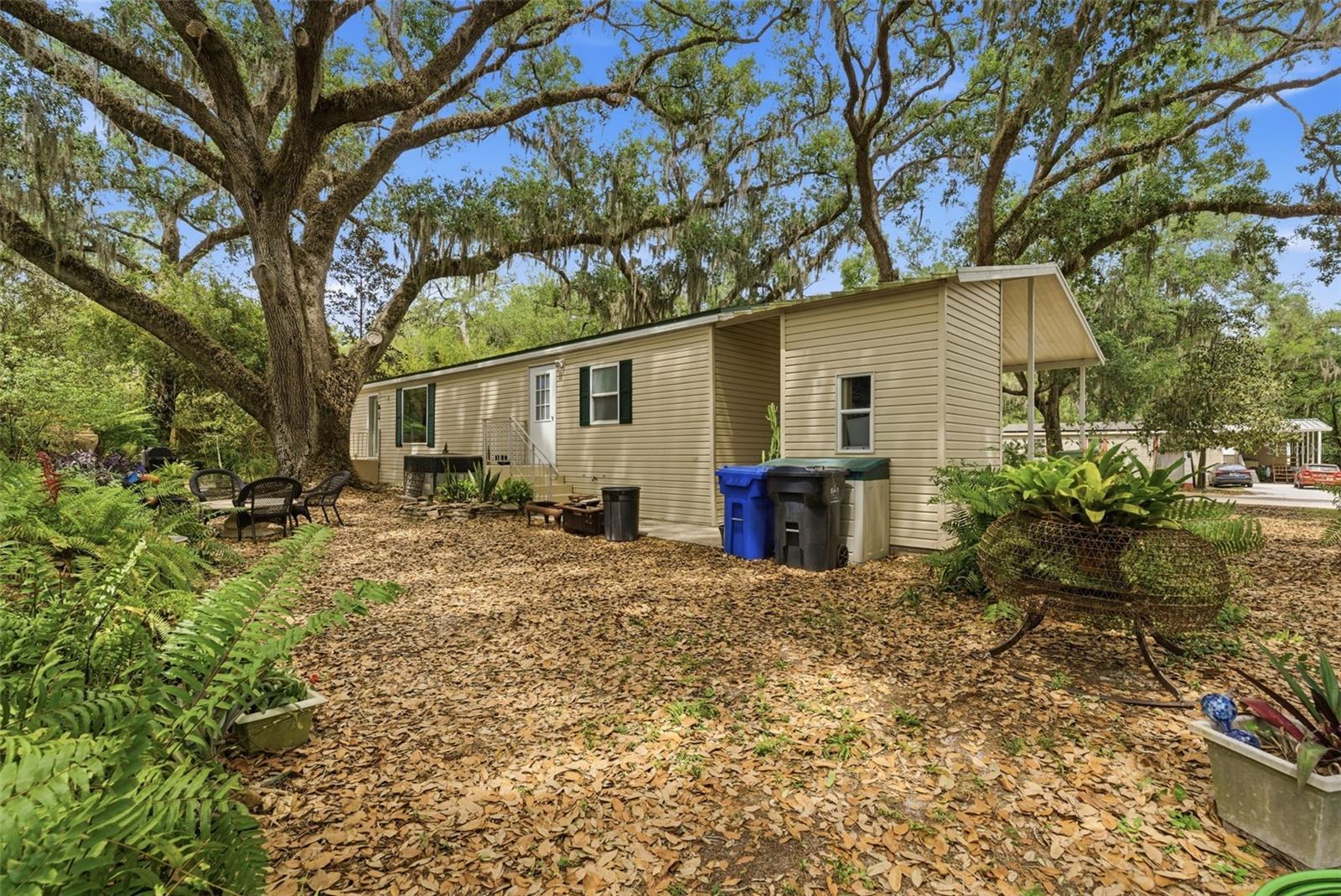 9101 WOOD TERRACE DR, TAMPA, FL, 33637