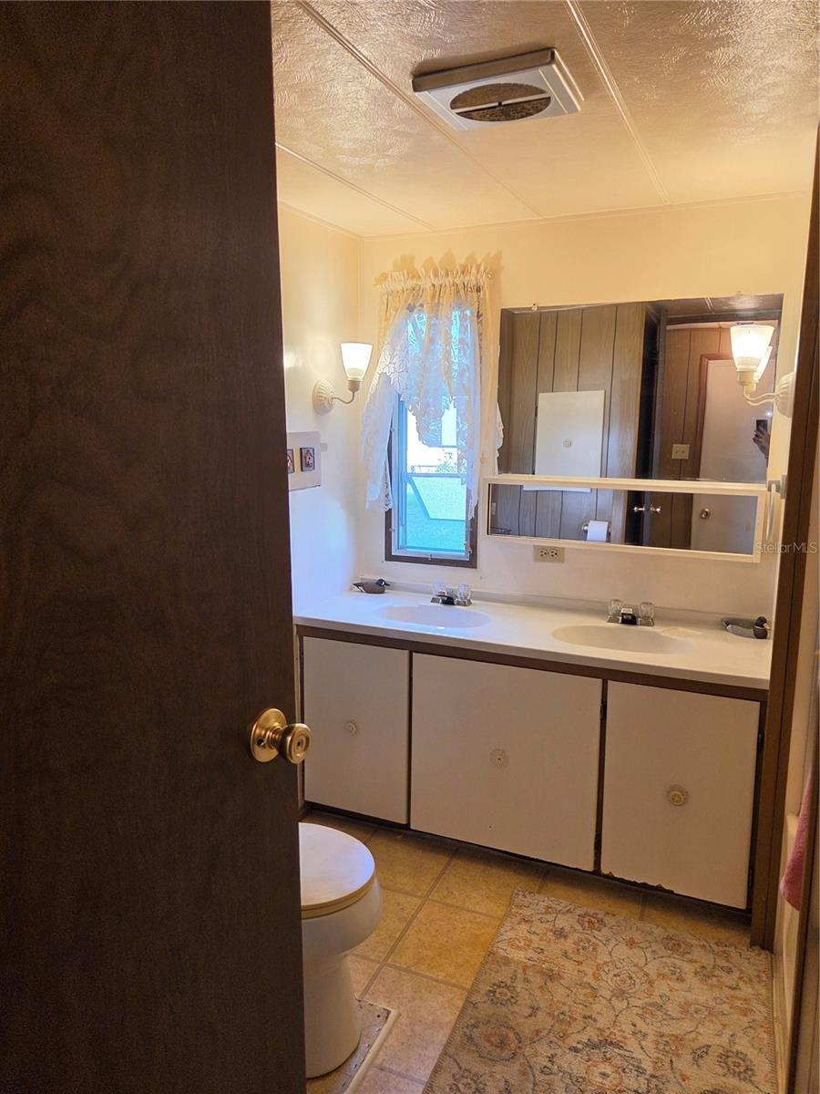 17420 SE 36TH LN, OCKLAWAHA, FL, 32179