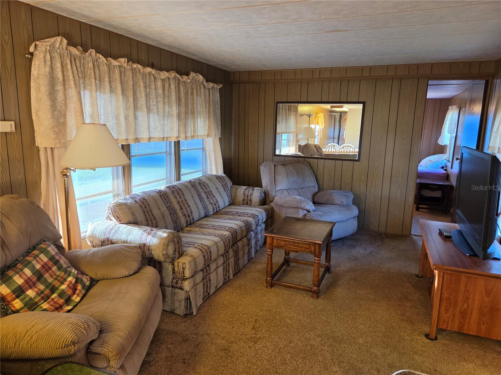 17420 SE 36TH LN, OCKLAWAHA, FL, 32179