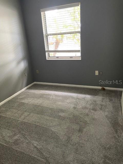 2501 SHERIDAN RD, MOUNT DORA, FL, 32757