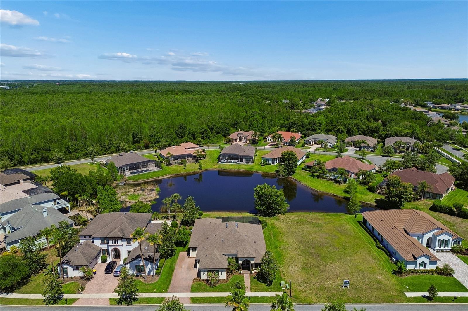 20439 LACE CASCADE RD, LAND O LAKES, FL, 34637