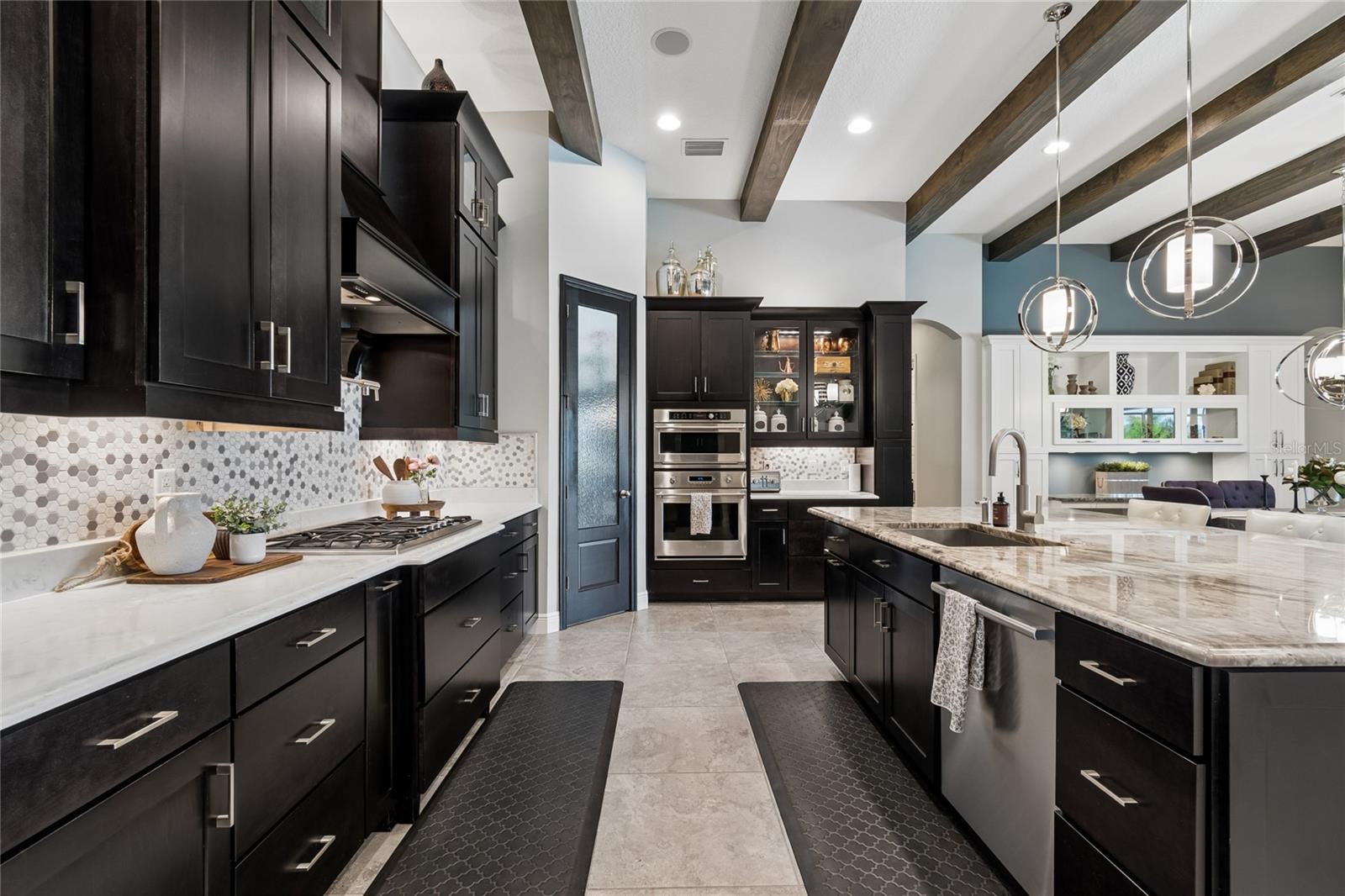 20439 LACE CASCADE RD, LAND O LAKES, FL, 34637