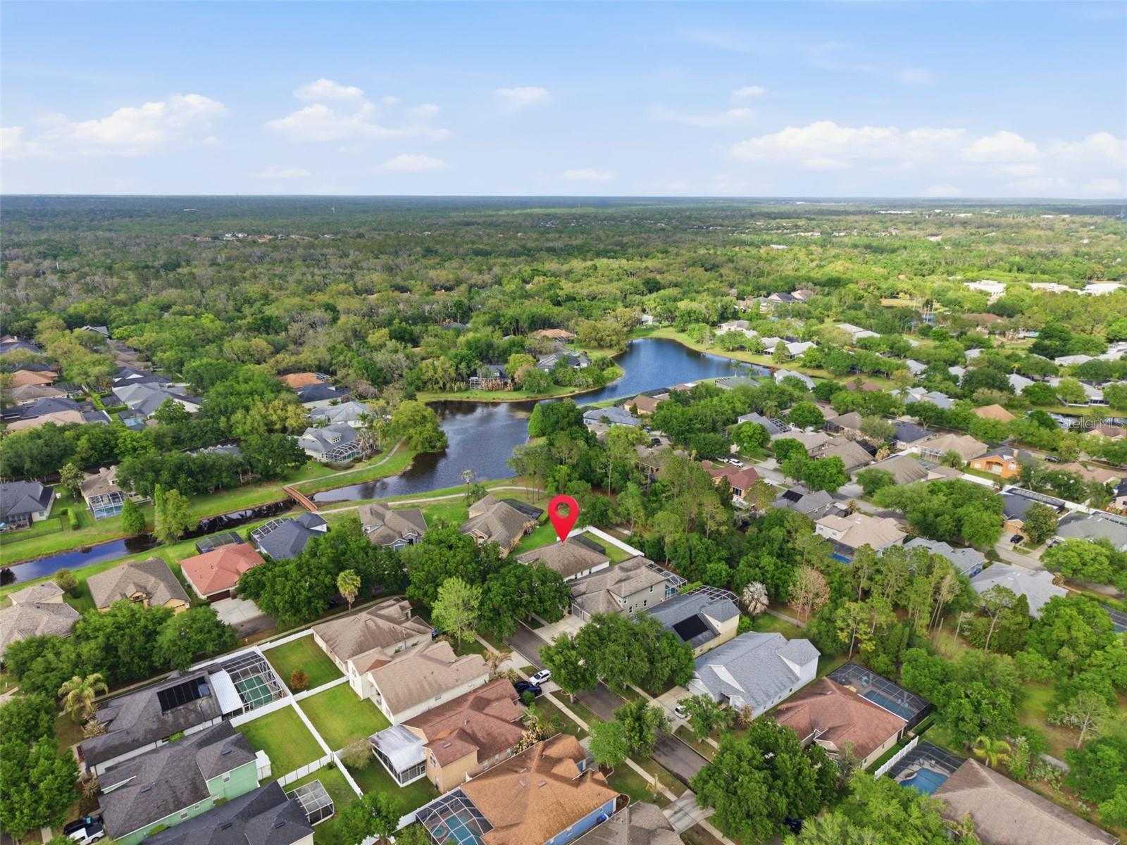 5832 HERONVIEW CRESCENT DR, LITHIA, FL, 33547