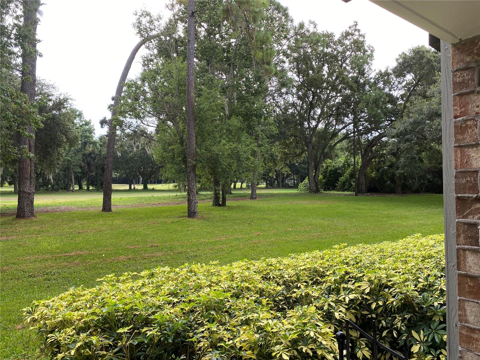 36750 US HIGHWAY 19 N #19-115, PALM HARBOR, FL, 34684