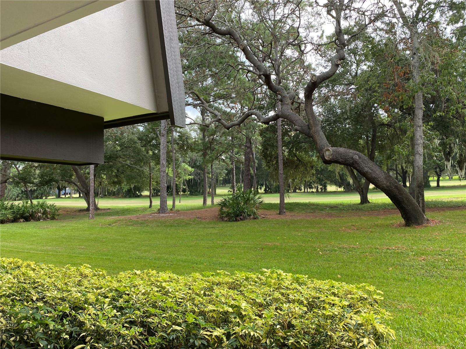 36750 US HIGHWAY 19 N #19-115, PALM HARBOR, FL, 34684