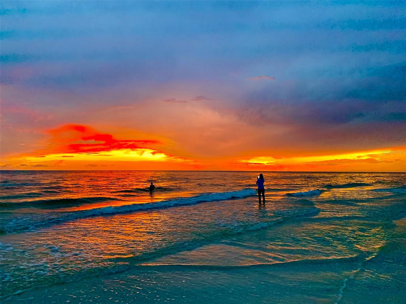 19915 GULF BLVD #806, INDIAN SHORES, FL, 33785