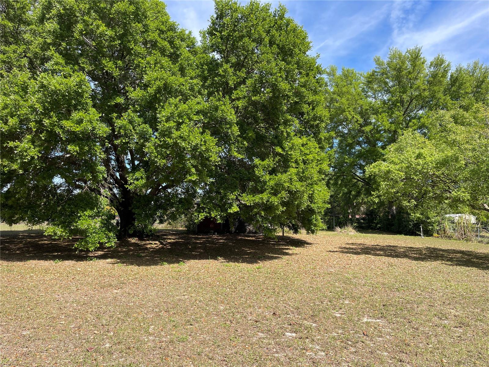 15121 SE 175TH ST, WEIRSDALE, FL, 32195