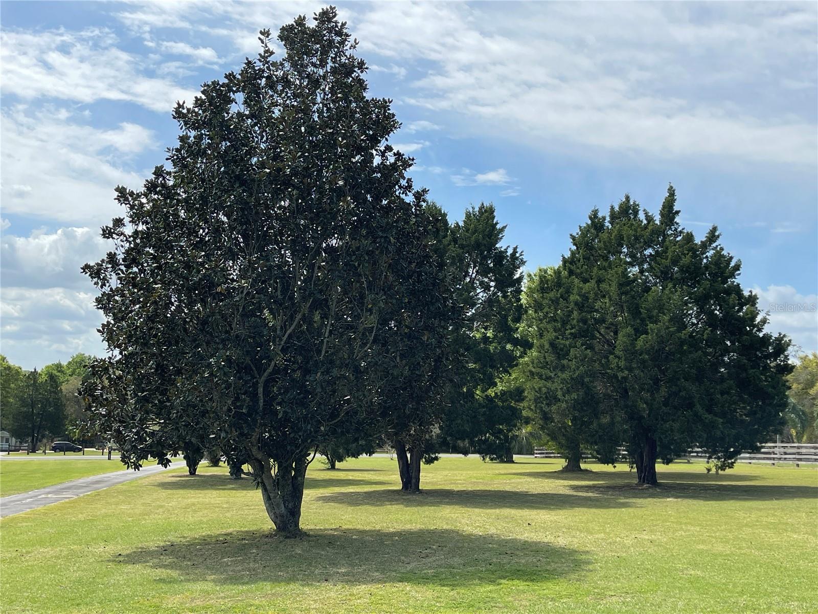 15121 SE 175TH ST, WEIRSDALE, FL, 32195