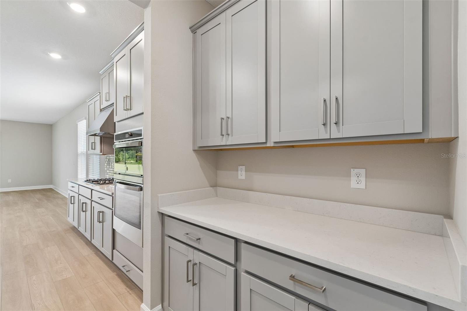 2181 LONGLINER LOOP, WESLEY CHAPEL, FL, 33543