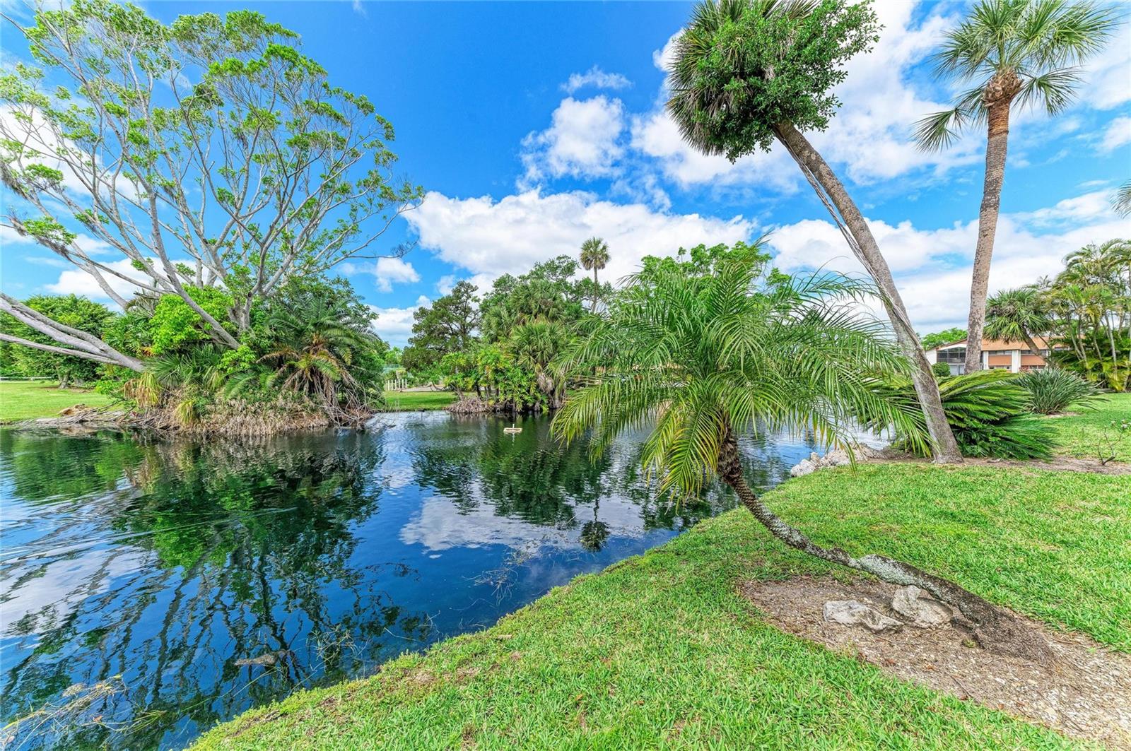 4578 RED MAPLE RD #904, BRADENTON, FL, 34210