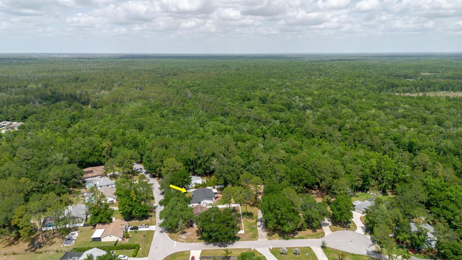 5402 SWALLOW DR, LAND O LAKES, FL, 34639