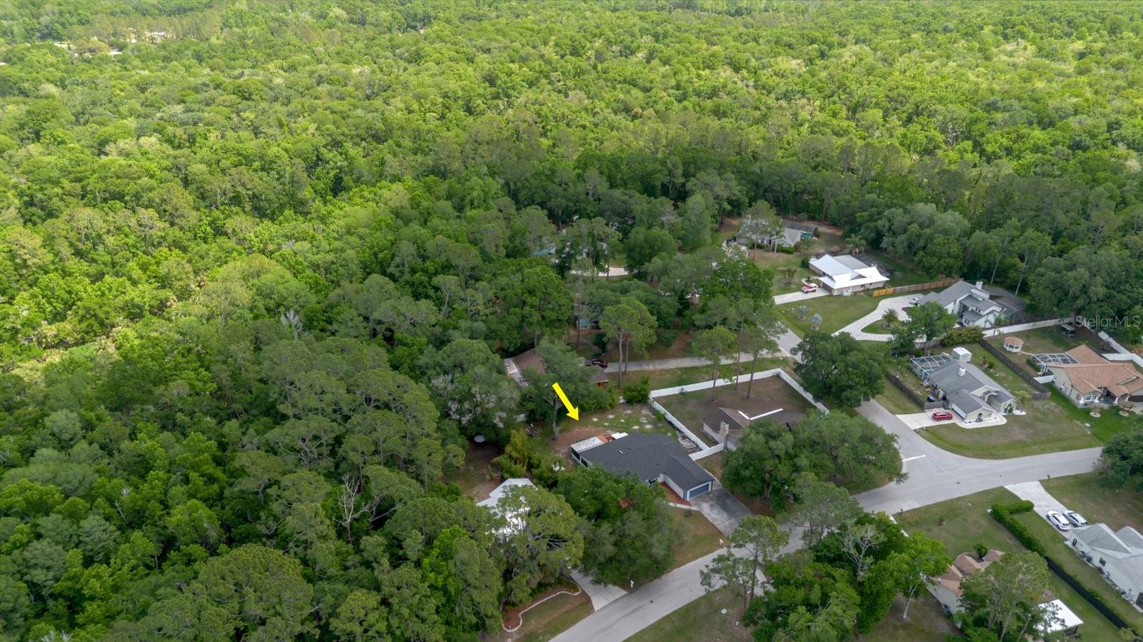 5402 SWALLOW DR, LAND O LAKES, FL, 34639