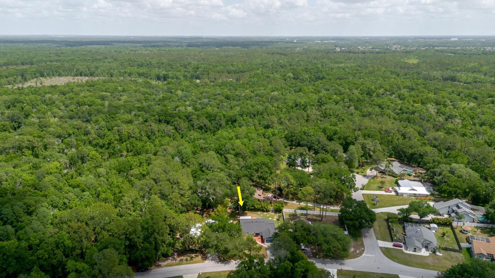 5402 SWALLOW DR, LAND O LAKES, FL, 34639