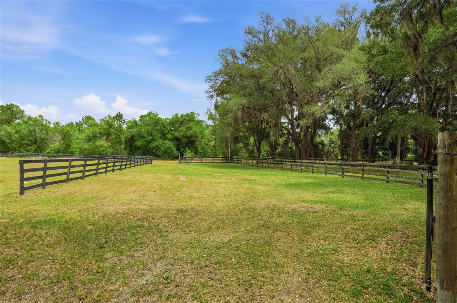 16650 NE 53RD LN, WILLISTON, FL, 32696