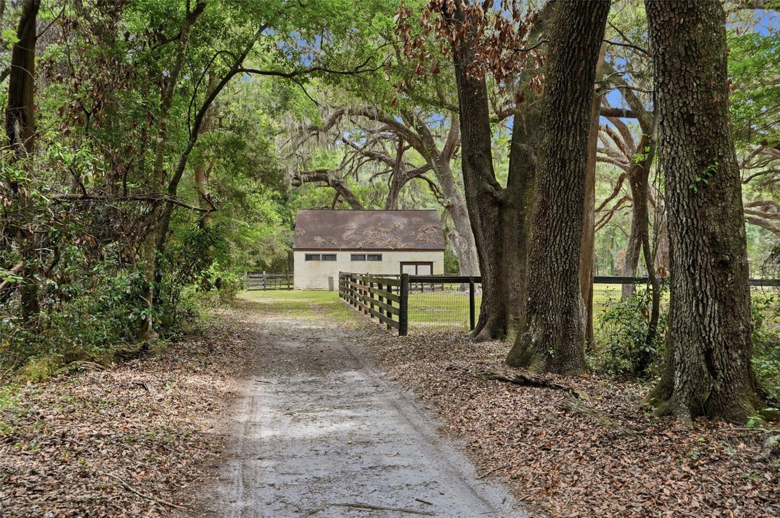 16650 NE 53RD LN, WILLISTON, FL, 32696