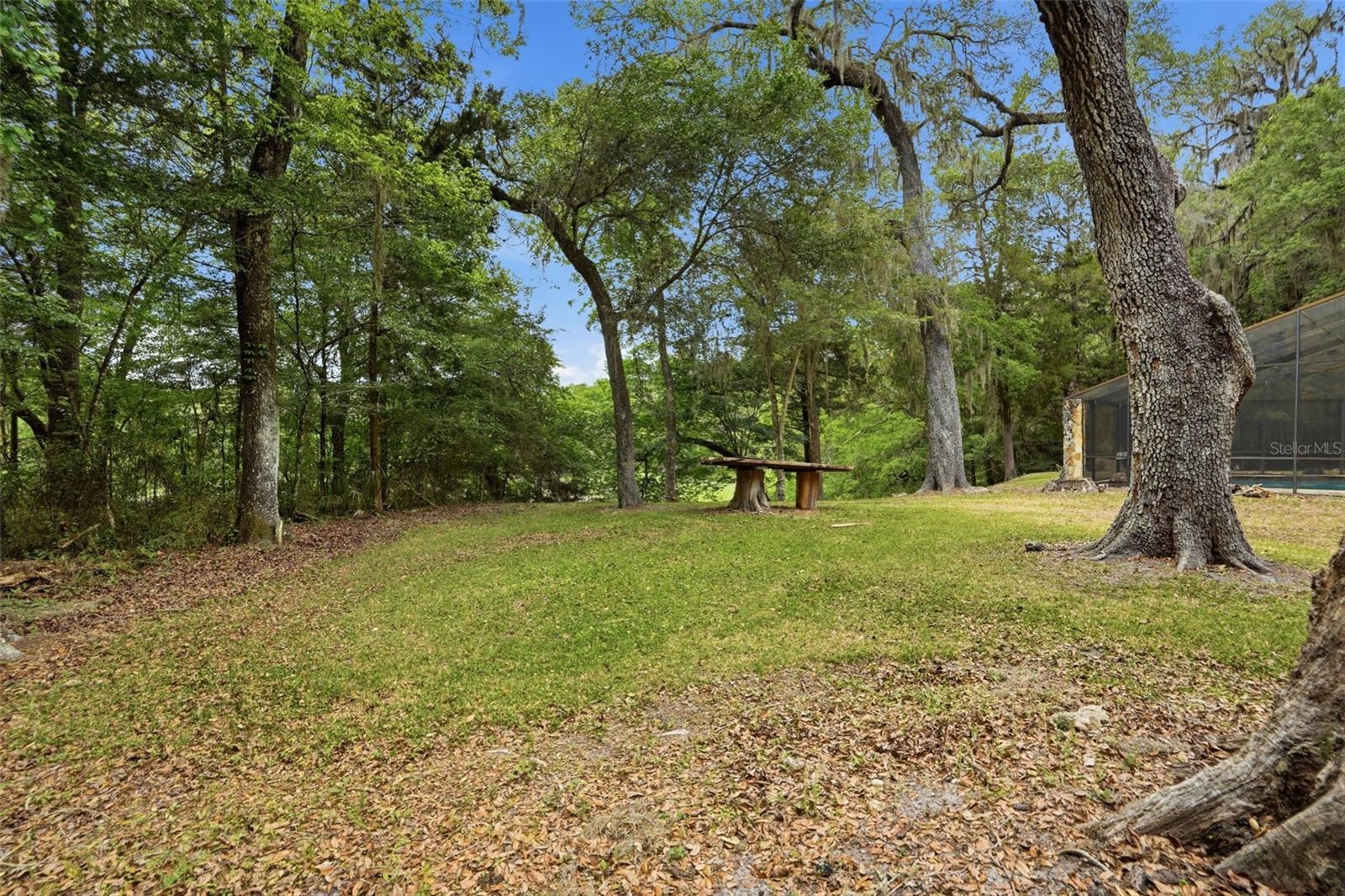 16650 NE 53RD LN, WILLISTON, FL, 32696