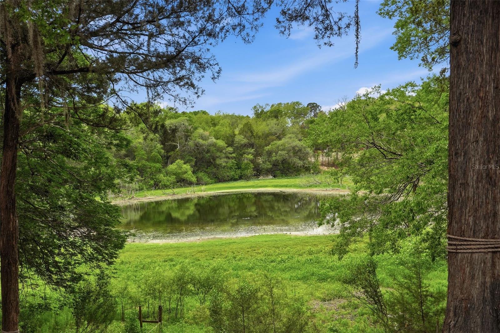 16650 NE 53RD LN, WILLISTON, FL, 32696