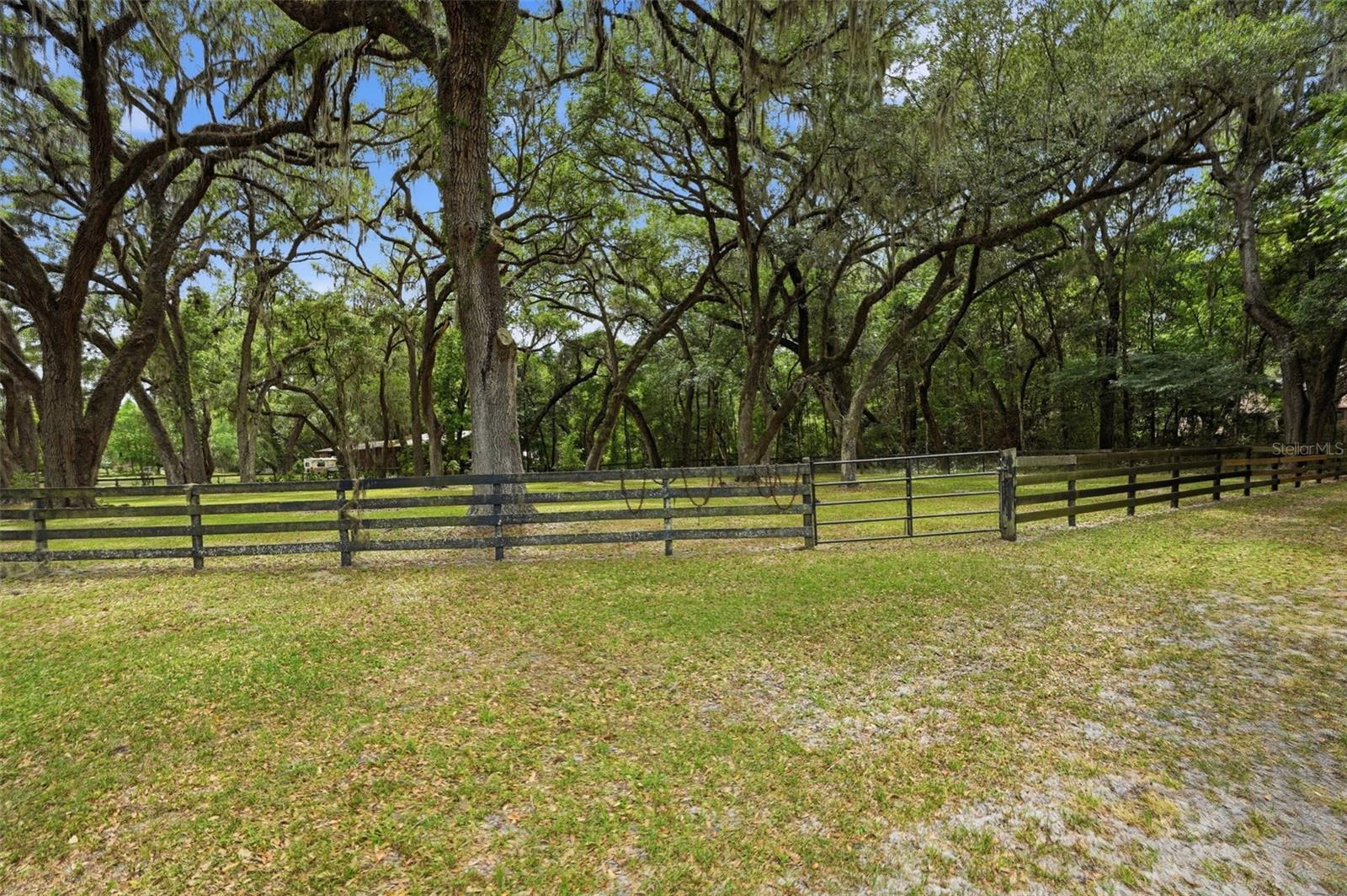 16650 NE 53RD LN, WILLISTON, FL, 32696