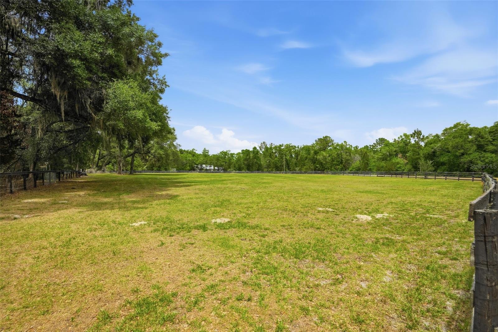 16650 NE 53RD LN, WILLISTON, FL, 32696