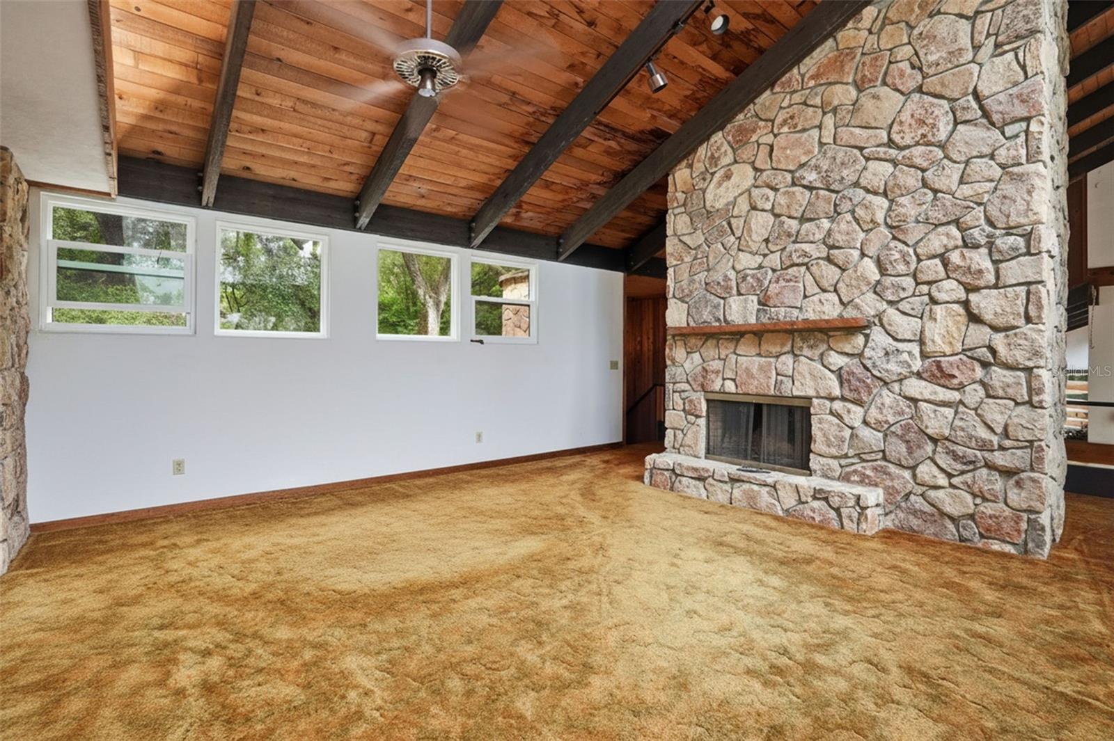 16650 NE 53RD LN, WILLISTON, FL, 32696