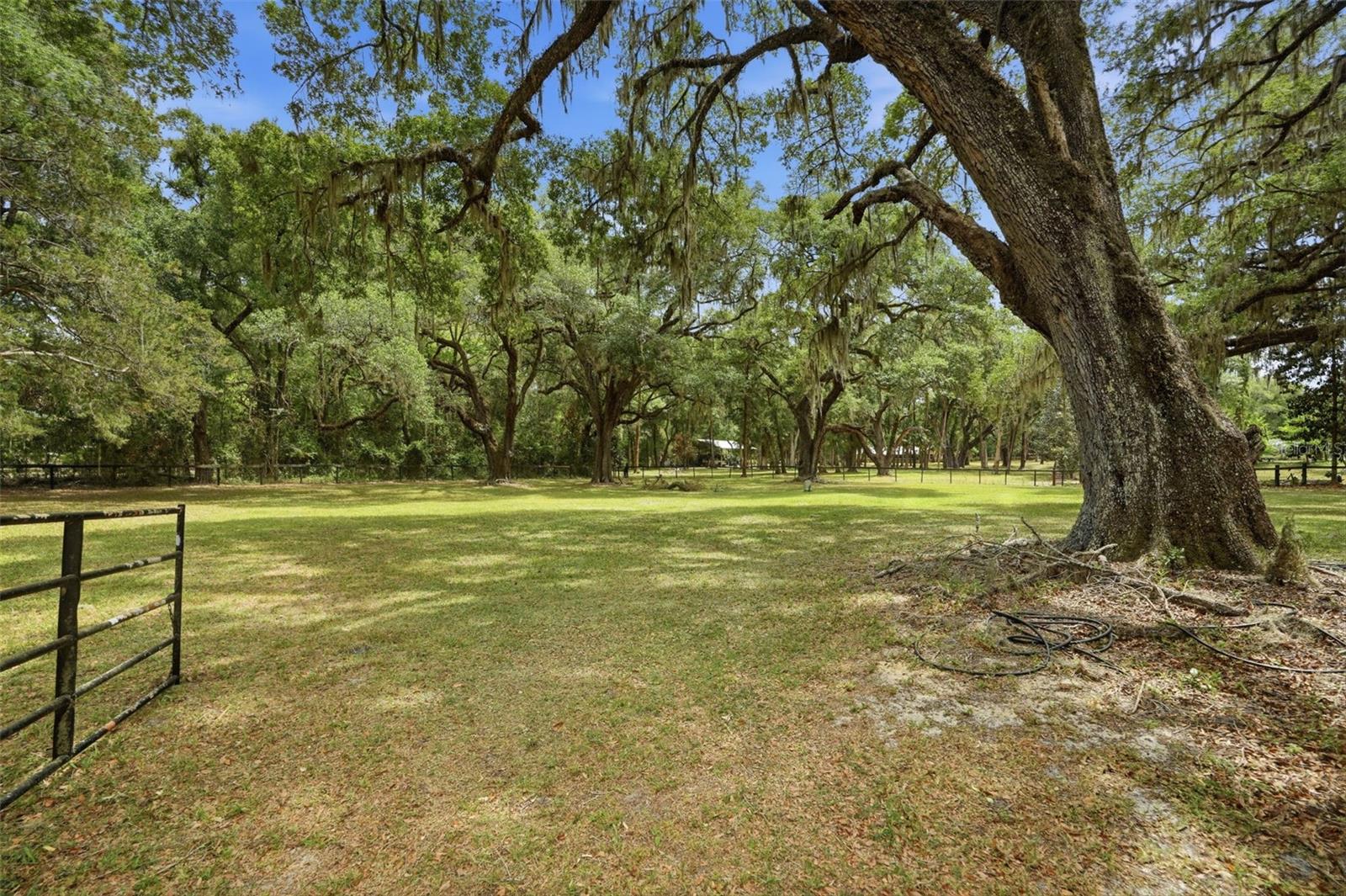 16650 NE 53RD LN, WILLISTON, FL, 32696