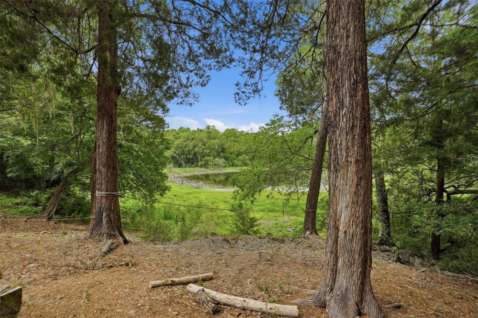 16650 NE 53RD LN, WILLISTON, FL, 32696