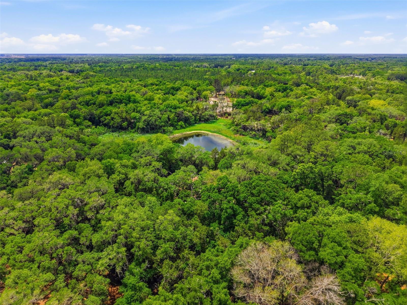 16650 NE 53RD LN, WILLISTON, FL, 32696