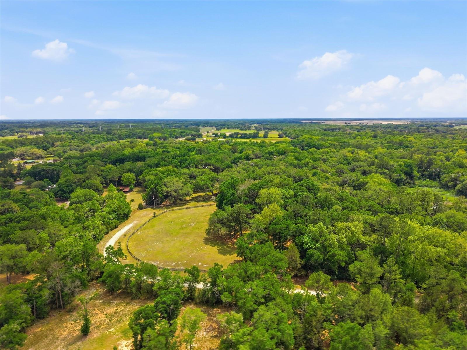 16650 NE 53RD LN, WILLISTON, FL, 32696