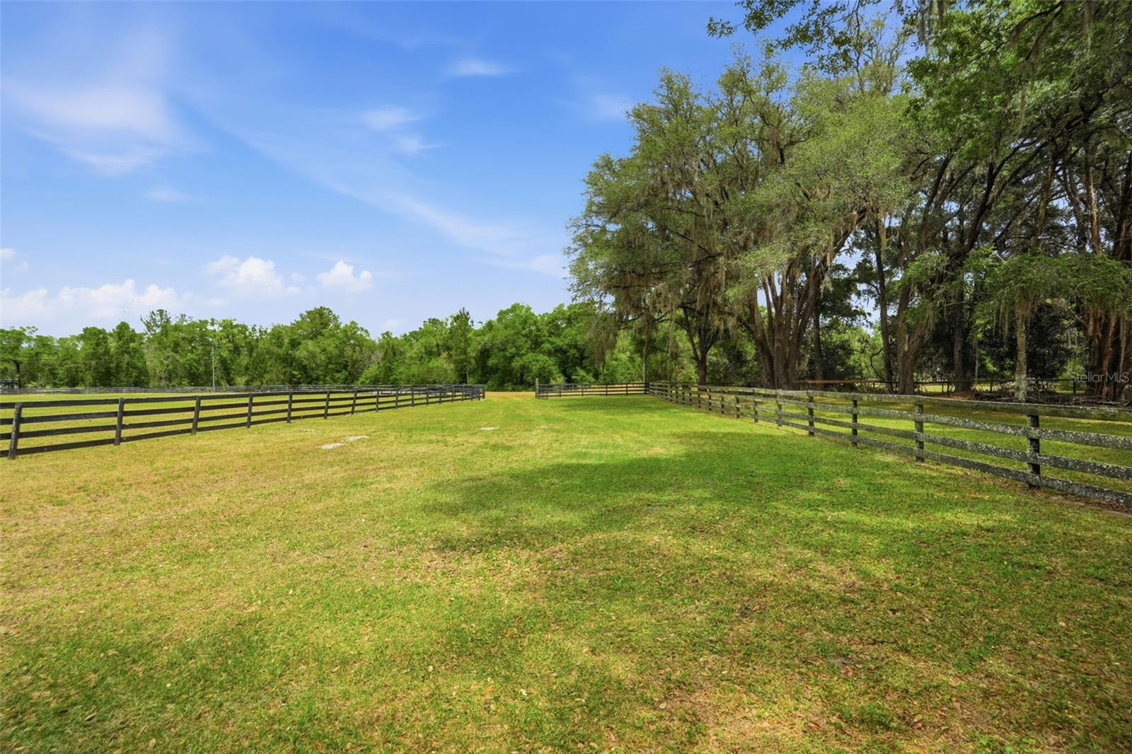 16650 NE 53RD LN, WILLISTON, FL, 32696