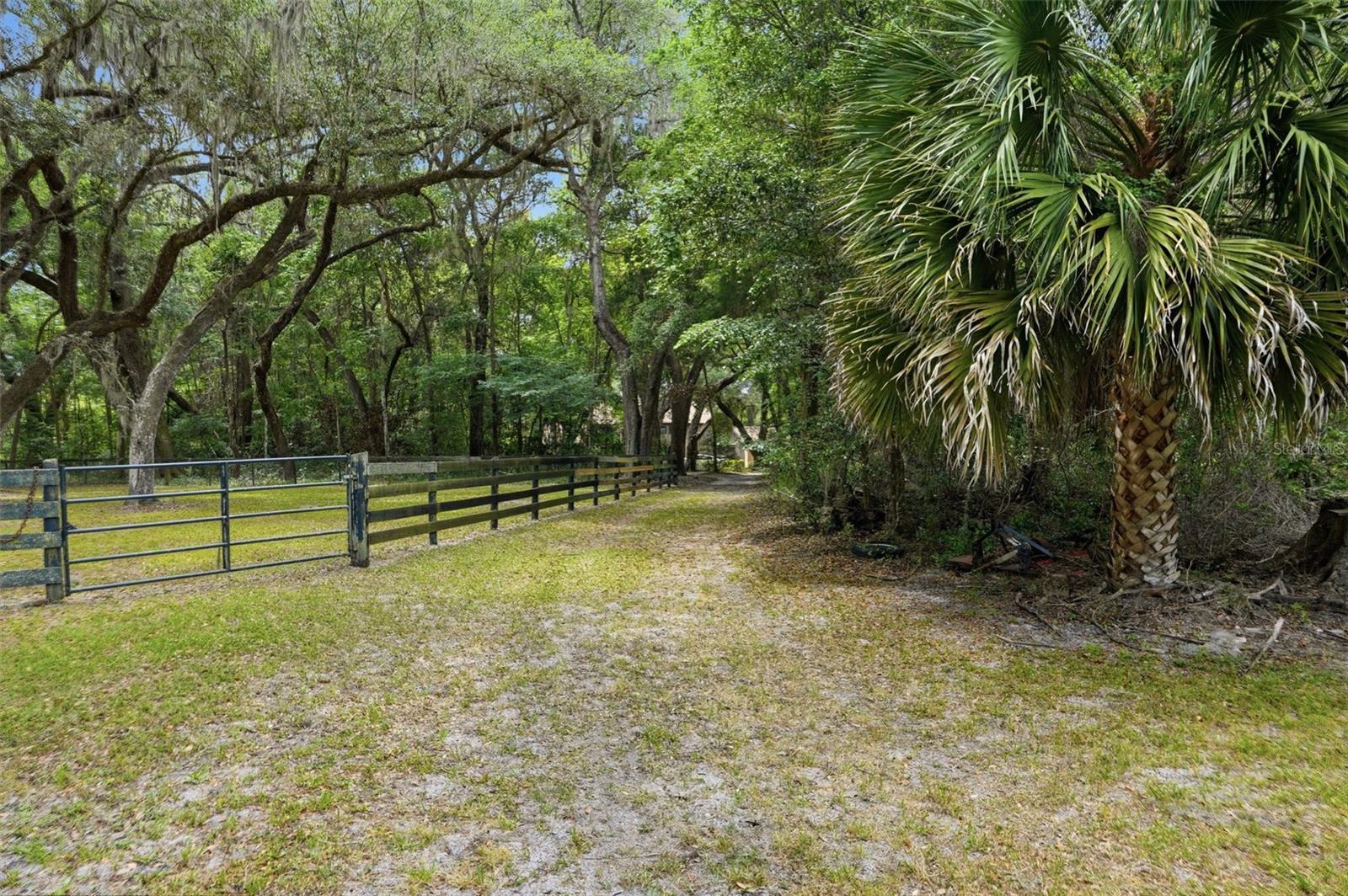 16650 NE 53RD LN, WILLISTON, FL, 32696