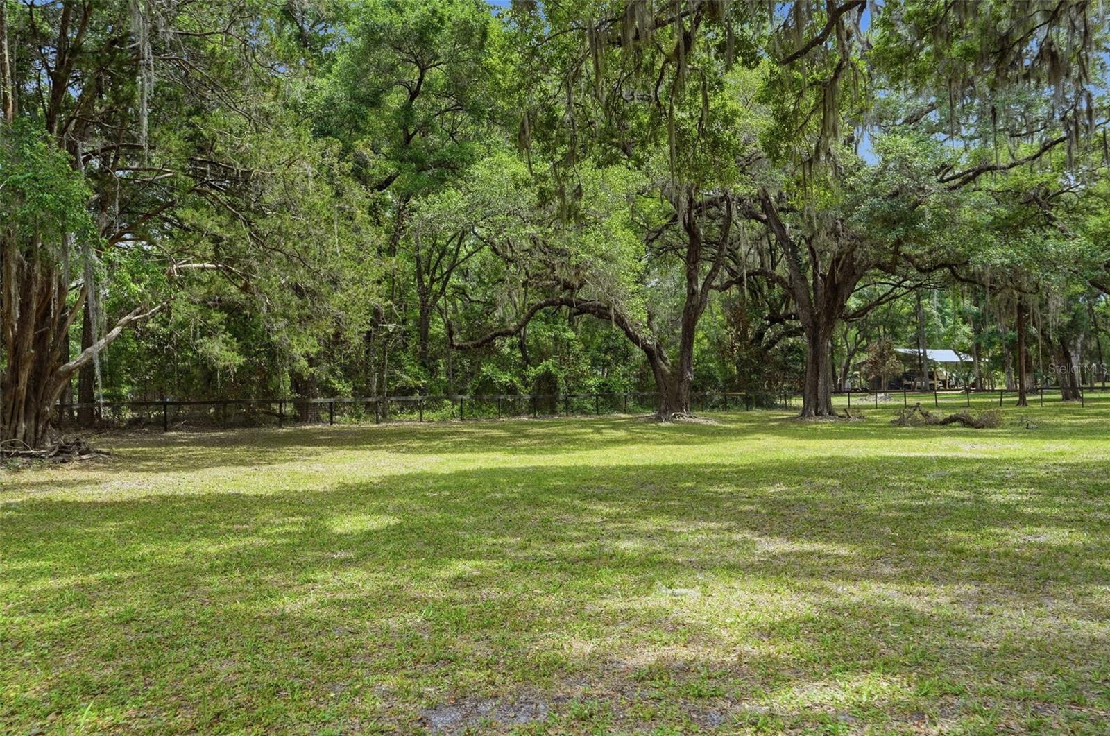 16650 NE 53RD LN, WILLISTON, FL, 32696