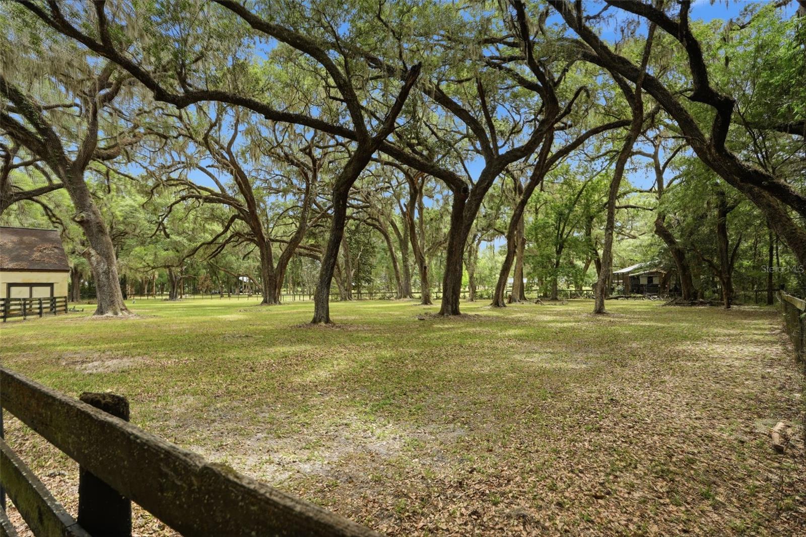 16650 NE 53RD LN, WILLISTON, FL, 32696